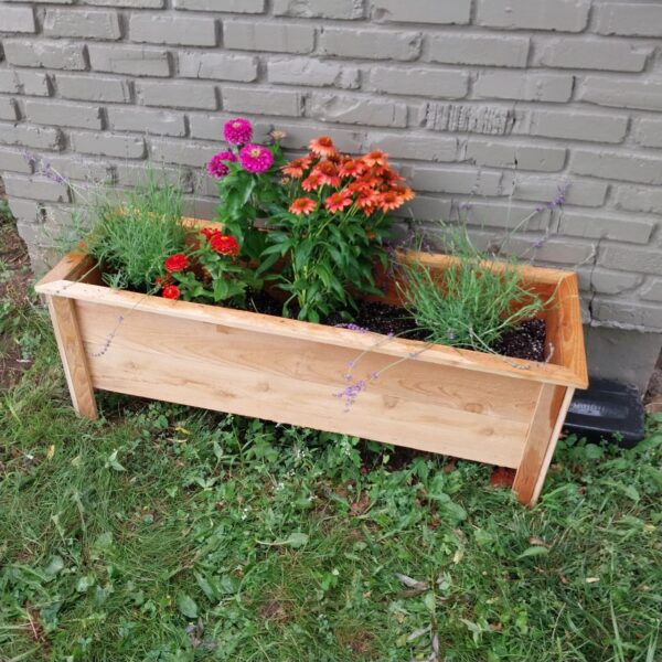 photo_2025-06-29_17-25-04 Large Cedar Planter Box