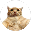 McCullen Smith profile picture