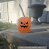 Small Jack-O-Lantern
